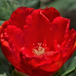 Berggarten - 05.06.2017