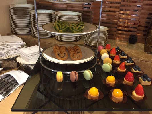 The Royal Garden by null