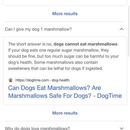 Marshmallows aren't good for dogs! Doh.