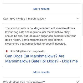 Scoopy Doos - Marshmallows aren't good for dogs! Doh. - Pet Stores Near Me - Delray Beach, Florida