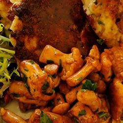 Schlossschänke Blutenburg - Kaspressknödel mit Pfifferlingen
