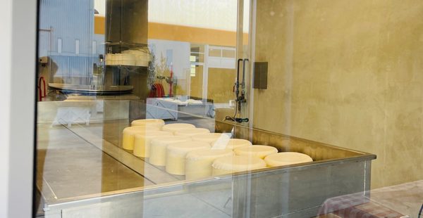 Wm Cofield Cheesemakers by null