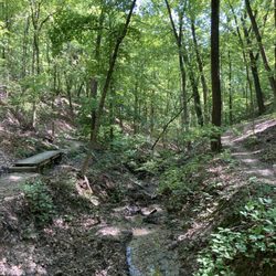 Detweiller Park