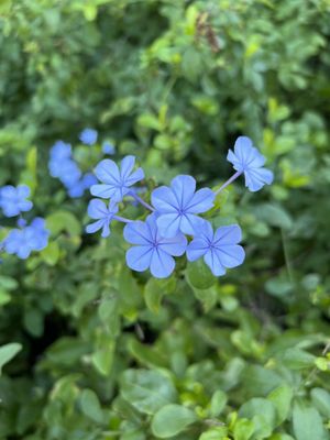 Wonder World Cave & Adventure Park by null