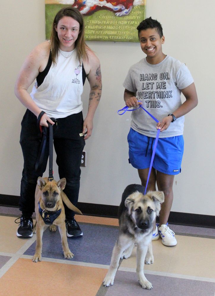 YUCCA VALLEY ANIMAL SHELTER Updated September 2024 122 Photos