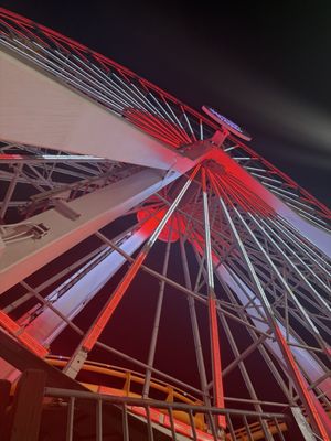 Santa Monica Pier by null