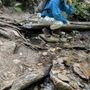 Photo of Black Canyon Campground