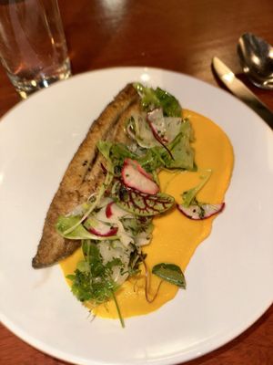 The Diplomat by null