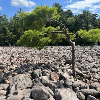 Boulder Field - Hiking Near Me - Lake Harmony, Pennsylvania