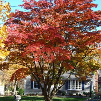 The Certified Home - Home Inspectors Near Me The Certified Home - Home Inspectors Near Me