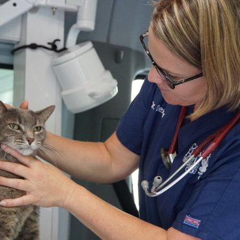 Capital Home Veterinary Care - Veterinarians Near Me - Richmond, Virginia Capital Home Veterinary Care - Veterinarians Near Me - Richmond, Virginia