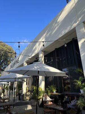 Juneshine by null Juneshine by null