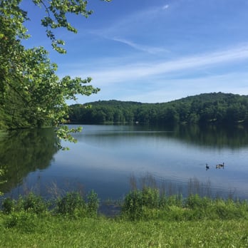 Yellowwood State Forest - Parks Near Me - Nashville, Indiana Yellowwood State Forest - Parks Near Me - Nashville, Indiana