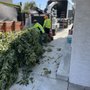 Silva Tree Service