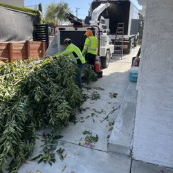Silva Tree Service