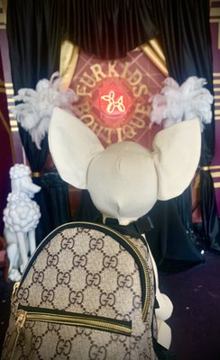 Fur-Kids Boutique by null