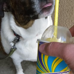 7-Eleven - Dog wants a lick