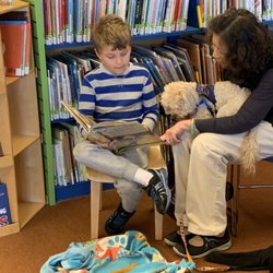 Petaluma Regional Library - The second dog available to read to.