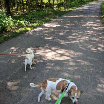 Eliason Nature Preserve - Hiking Near Me - Portage, Michigan Eliason Nature Preserve - Hiking Near Me - Portage, Michigan