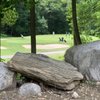Tashua Knolls Golf Course gift card