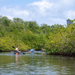 Get Up And Go Kayaking