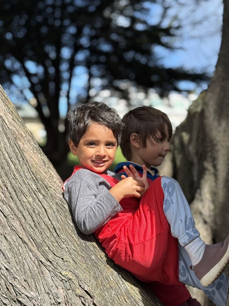 Alta Plaza Preschool - childcare center in San Francisco, CA