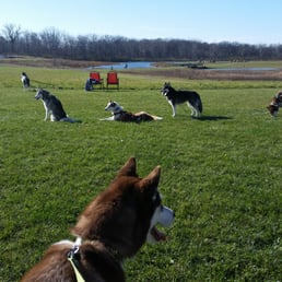 Husky event