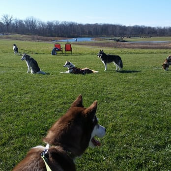 Prairie Oaks Metro Park - Husky event - Hiking Near Me - Hilliard, Ohio