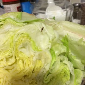 Walmart Supercenter - As I'm cutting the lettuce I purchased less than 12 hours ago I find a friggn MAGGOT in it. I had to take a second look! Gross! - Grocery Near Me - West Milwaukee, Wisconsin Walmart Supercenter - As I'm cutting the lettuce I purchased less than 12 hours ago I find a friggn MAGGOT in it. I had to take a second look! Gross! - Grocery Near Me - West Milwaukee, Wisconsin