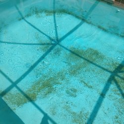 Justin's Pool Center - Corner of the pool has black algae and the bottom has heavy rust and metal stains