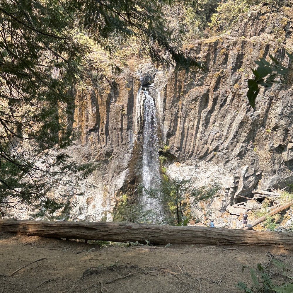 Drift Creek Fall And Bridge - Amazing waterfall! - Hiking Near Me - Otis, Oregon Drift Creek Fall And Bridge - Amazing waterfall! - Hiking Near Me - Otis, Oregon