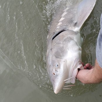 Fraser Fishing Adventures - Fishing Near Me - Abbotsford, British Columbia