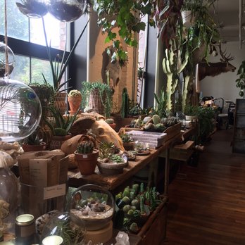 Seed To Stem - Antiques Near Me - Worcester, Massachusetts