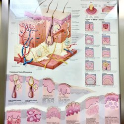Northwestern Medical Group - Dermatology