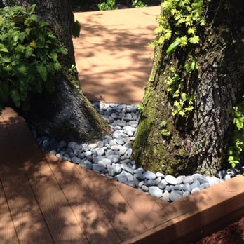 1. Apex Property Restoration