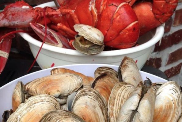 Pier 48 Fish House and Oyster Bar by null