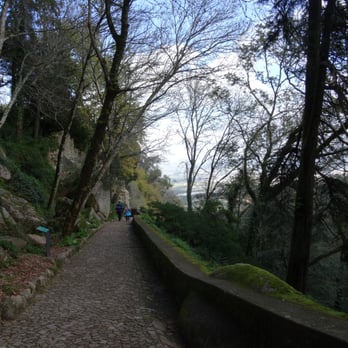 Castelo Dos Mouros - Scenic walk to the castle - Landmarks & Historical Buildings Near Me - Sintra, 11