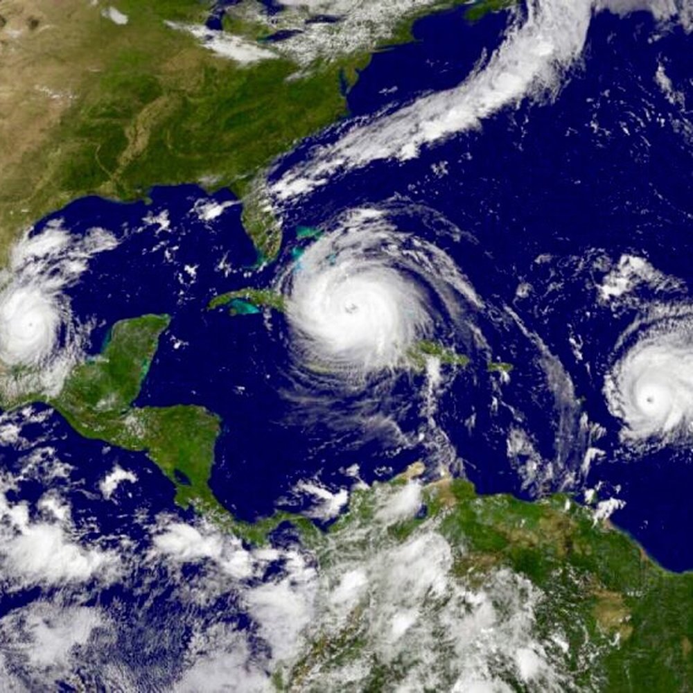 National Hurricane Center - People need to take this shit more seriously: keep your kids & family safe, and keep your animals safe. - Tours Near Me - Miami, Florida National Hurricane Center - People need to take this shit more seriously: keep your kids & family safe, and keep your animals safe. - Tours Near Me - Miami, Florida