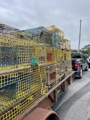 Five Islands Lobster Co by null