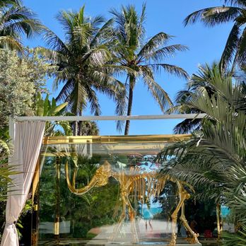 Veranda - the entrance to a tropical garden - Breakfast & Brunch Near Me - Miami Beach, Florida
