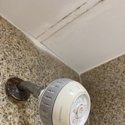 Comfort Inn Decatur Priceville - Mold and rush in the shower