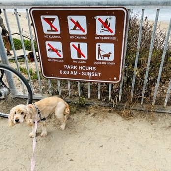 Its Beach - Zoey at the entrance to Its Beach. - Beaches Near Me - Santa Cruz, California Its Beach - Zoey at the entrance to Its Beach. - Beaches Near Me - Santa Cruz, California