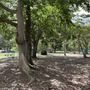 Photo of Parque Santiago Iglesias Pantín