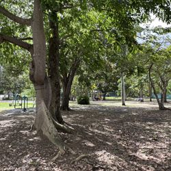 Parque Santiago Iglesias Pantín