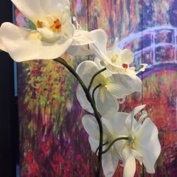 Ambrosia Massage Spa