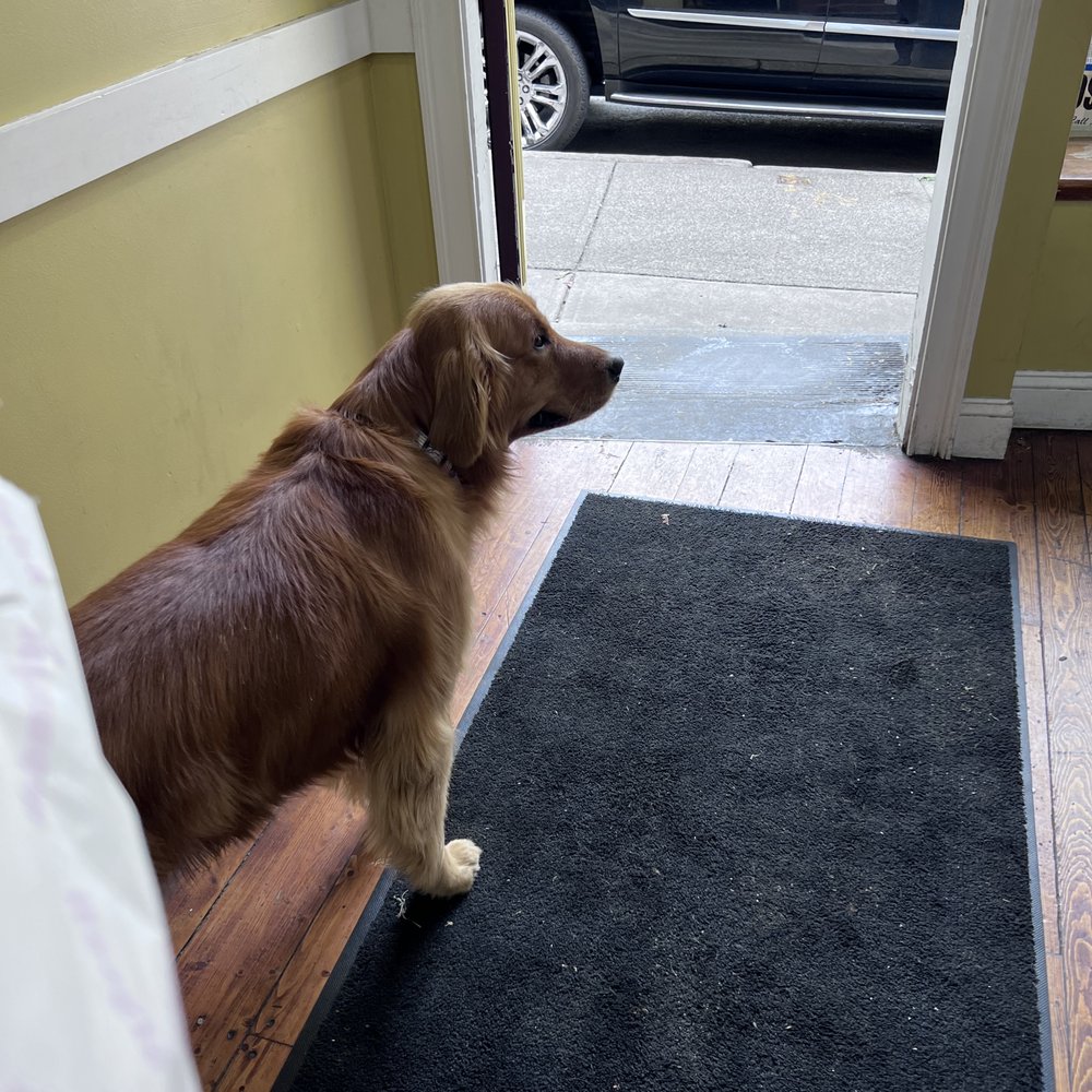 a dog standing in front of a door