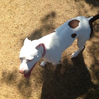 Riverwalk Dog Park - Dog Parks Near Me - Riverside, California Riverwalk Dog Park - Dog Parks Near Me - Riverside, California