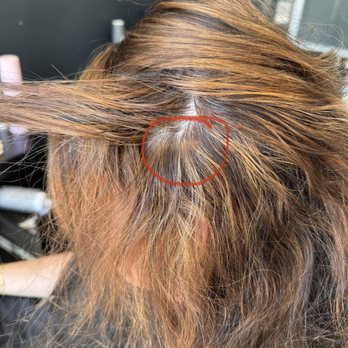 Dellaria Salon Wellesley - Bleed marks from bleach. - Hair Salons Near Me - Wellesley, Massachusetts Dellaria Salon Wellesley - Bleed marks from bleach. - Hair Salons Near Me - Wellesley, Massachusetts