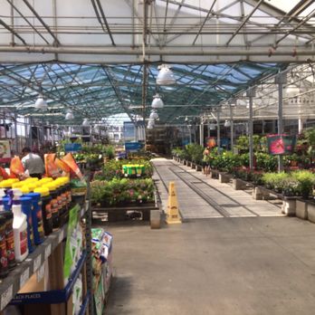 Lowe's Home Improvement - Garden center had some great deals today! - Hardware Stores Near Me - Weslaco, Texas Lowe's Home Improvement - Garden center had some great deals today! - Hardware Stores Near Me - Weslaco, Texas
