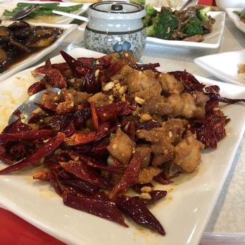 Panda Gourmet - Dry - Szechuan Near Me - Washington, DC, District of Columbia